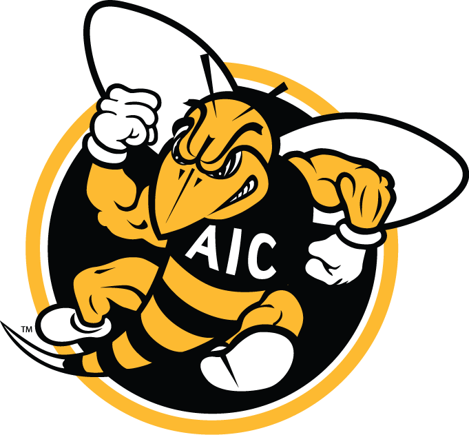 AIC Yellow Jackets 2009-Pres Alternate Logo v2 iron on transfers for T-shirts